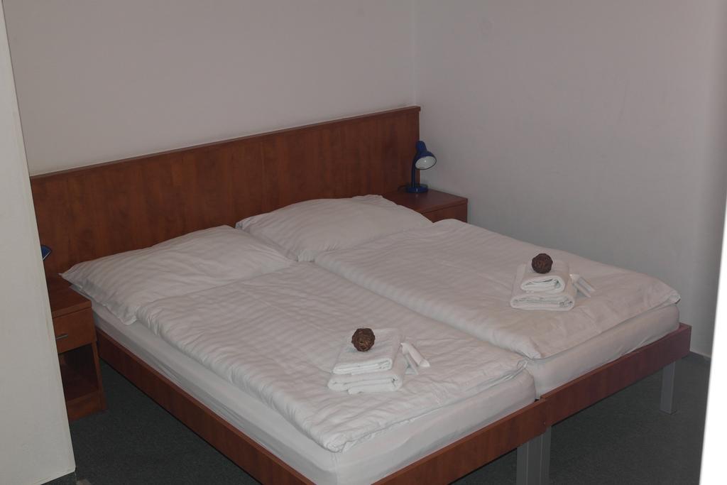 Wellness Hotel Harrachovka Rum bild